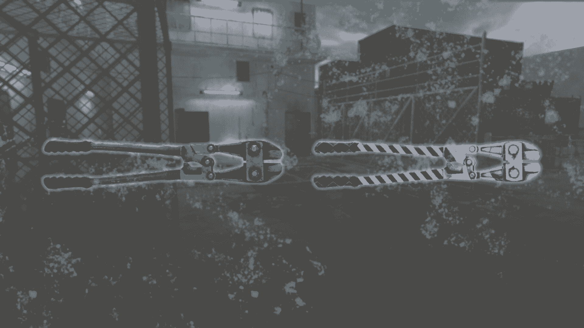 Winter Carnival Campaign